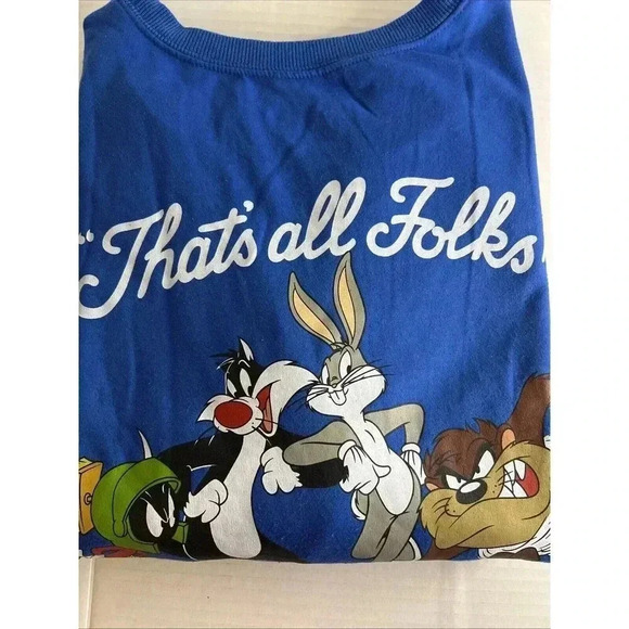 Looney Tunes Graphic Sweatshirt That's All Folks Women's Medium Ladies Blue - Picture 9 of 9